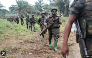 RDC: Abaturage ba Bwito basabye EACRF kuza guhosha imirwano ikomeje ya M23 na Wazalendo