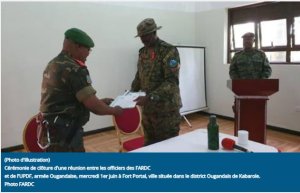 DR Congo:Imiryango itari iya leta irakemanga akazi k'ingabo zihuriweho za UPDF-FARDC