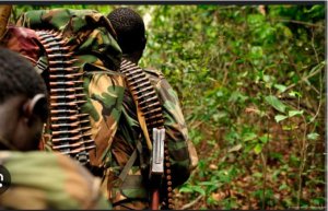 DRC: Ibyihebe bya ADF ikomoka muri Uganda bikomeje Kwica Abaturage