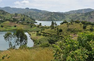 Karongi: Inkongi y'umuriro yibasiye imisozi itandukanye