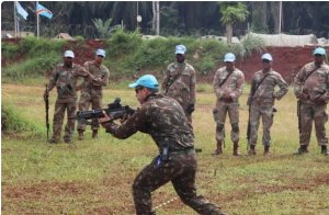 RDC: Ingabo za Afurika y'Epfo zasoje imyitozo zifasha kurwanira mu ishyamba 