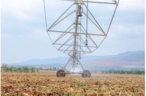 Rwanda: Icyuho gikomeye muri gahunda yo kuhira.71% By'Ubutaka bugomba Kuhirwa Ntibwuhiwe