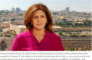 Abanyamakuru muri Afurika banenze ubwicanyi bwakorewe mugenzi wabo wa Al-Jazeera 