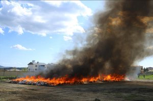 Turkiya: Abatuye Lice basinze umwotsi w'urumogi rwatwikiwe mu mujyi