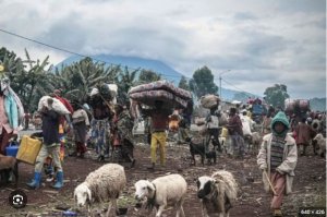 L'ONU yatunze agatoki amahanga ari kurebera ibibera Congo 