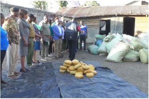 Kenya:Bifashishije urusengero ngo banyereze imifuka 26 y'urumogi n'inyama z'ihene