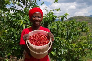 Abahinzi bishimira imyaka 12 ya JICA mu guteza imbere ikawa y'u Rwanda