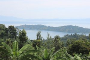 Rutsiro: Polisi yafashe abagizi ba nabi bari bamaze kuroha mu mazi abarobyi babiri