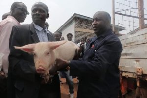 Burundi: Perezida Ndayishimiye yagaragaye ateruye ingurube yo koroza abaturage 