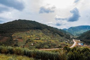 MINALOC yagumishije imirenge 10 muri Guma mu rugo indi 40 ikurwamo