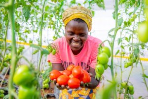 U Rwanda rwabaye u rwa mbere muri Afurika mu guteza imbere ubuhinzi n'ubworozi