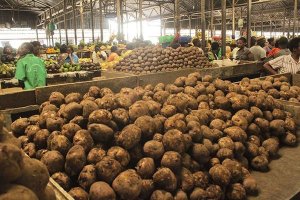 Impamvu Leta y'u Rwanda yemeje ko umusaruro w'igihugu wazamutseho 10.9%