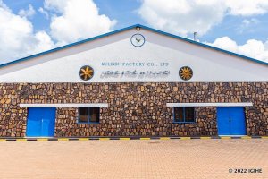 Gicumbi: Uruganda rw'icyayi rwa Mulindi rwashyizwe mu maboko y'abaturage 100%