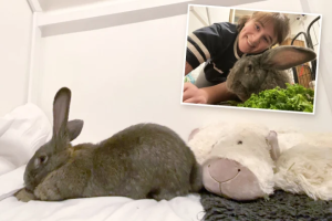 Yahaye icyumba n'uburiri bwiza inkwavu ze kubera kuzikunda