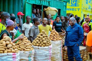 Perezida Ndayishimiye yasanze abahinzi mu murima abafasha gusarura ibirayi [AMAFOTO]