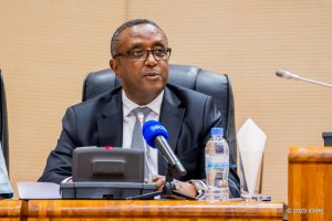 Minisitiri Biruta yavuze byimbitse ku bibazo biri mu mubano w'u Rwanda na RDC