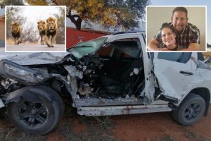 Umugore n'umugabo bahishuye uko baraye hagati y'intare ntizibarye