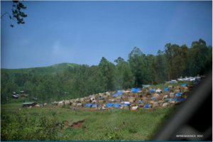 RDC: Inyeshyamba za CODECO zishe abaturage 12 mu gitero bagabye i Mambisa