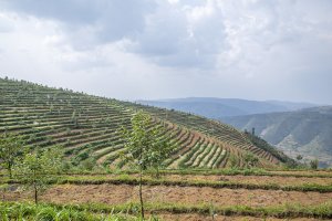 Leta yakuyeho amafaranga yakwaga kuri serivisi 10 zirimo izerekeye ubutaka