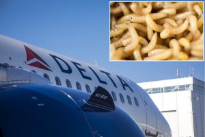 Indege yahagaze igitaraganya kubera inyo zavuye hejuru zikagwa ku bagenzi