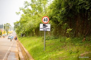 Senateri Uwizeyimana yanenze bikomeye ibyapa byo ku mihanda yo mu Rwanda