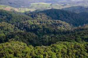 Ibyaha bishingiye ku bucukuzi bw'amabuye y'agaciro abantu batitaho