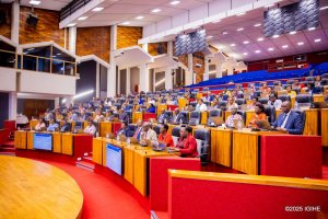 Abadepite batoye itegeko ryemera gutwitira undi no kuboneza urubyaro ku bana b'imyaka 15