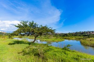 Pariki ya Nyandungu izashyirwamo inyamaswa
