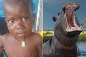 Umwana yarokotse imvubu yamumize ari hafi y'ikiyaga hanyuma imuruka akiri muzima