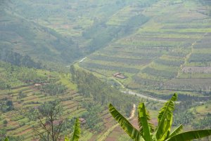 Hamenyekanye uturere n'imirenge bikennye cyane mu Rwanda