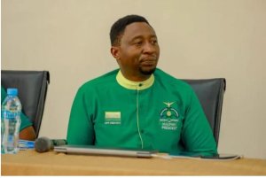 Depite Habineza yashimangiye ko ijwi rya Green Party of Rwanda ryahinduye imikorere ya PAC