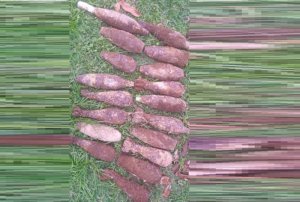 Rubavu: Havumbuwe ibisasu 46 bikomeye mu kigo cya TTC Gacuba