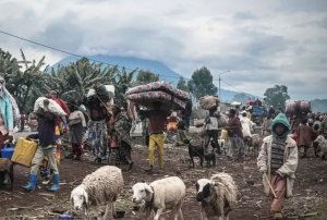 RDC:Impunzi 80,000 z'imirwano ya M23 na FARDC zikeneye gutabarwa byihutirwa