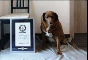  Ibwa ikuze ku Isi yakorewe ibirori byagatangaza [Ifoto]