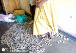 Nyabihu: Babiri bafatanywe udupfunyika 2000 tw'urumogi