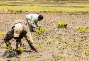 Abaturage basabwe kwirinda kwiherera mu gasozi