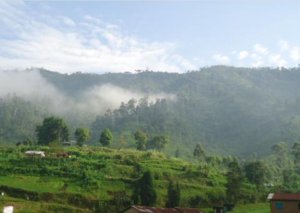 RDC: Masisi yubuyemo imirwano hagati ya M23 na FARDC nyuma y'agahe gato hatangajwe agahenge