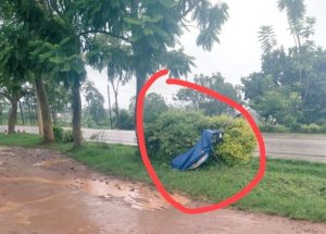 Abatwara ibinyabiziga bararira kubera ibyo bari gukorwa na Camera izwi nka "Sofia"