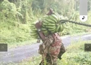 RDC: Umusirikare wa FARDC yaciye ibintu nyuma yo gutsindwa na M23 akitwarira igitoki