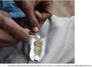 Mu Burundi urubyiruko n'abakuze bugarijwe n'Ikiyobyabwenge kiri kubagira abasazi 