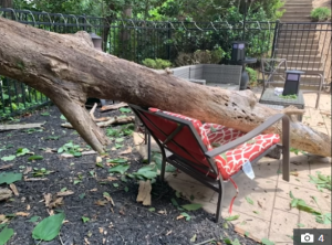 Umugore yarokotse by'igitangaza igiti cyamugwiriye ubwo yarimo kota izuba hafi ya Pisine