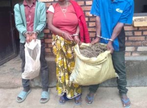 Muhanga: Batatu bafatanywe urumogi