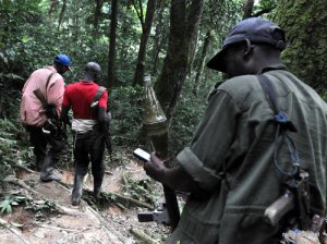 Colonel Bolingo wa FDLR yafashwe mpiri na FARDC