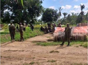 FARDC na FDRL bakorana barashinjwa kwiba inka z'Abaturage bakazirya