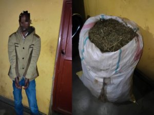 Kayonza: Polisi yaburijemo ikwirakwizwa ry'urumogi rupima ibilo 30