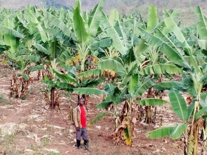 Kayonza: Mu ntambara y'amahugu arwana n'inzego z'ibanze, Pascal Mutumwa aratabaza Perezida Kagame