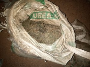 Burera: Polisi yafashe litiro 329 za kanyanga n'ibiro 10 by'urumogi byinjizwaga mu Rwanda bivanwe Uganda