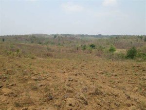 U Rwanda rwahawe ubutaka bungana hegitari 12.000 na Congo 