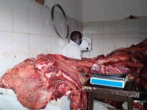 Impaka ni ndende ku mbuga nkoranyambaga ku nyama zo muri Frigo n'izako kanya