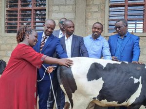 Itorero Bethesde rya Mwogo ku bufatanye na Compassion International boroje Abatishoboye Inka 16 